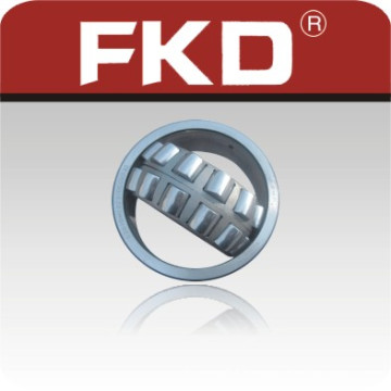 Cylindrical Roller Bearing Fkd